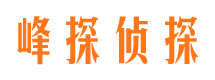 阜阳市婚外情调查